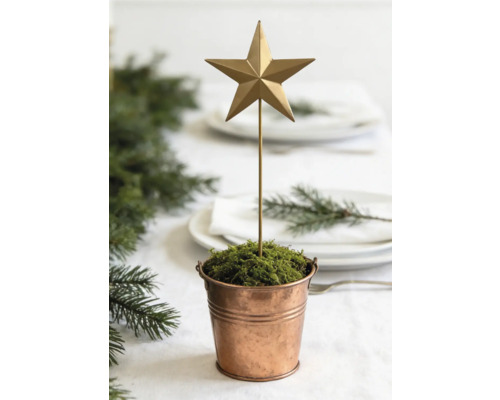 Weihnachtsdekoration mit einem goldenen Stern an einem Stab in einem kleinen Kupfertopf mit Moos auf einem festlich gedeckten Tisch.