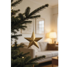 Goldener Weihnachtsanhänger in Sternform an einem Tannenbaumzweig in einem hellen Wohnzimmer mit Sofa und Lampe.