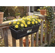 Dunkler Balkonkasten von Elho mit gelben Blumen an einem Holzgeländer im Garten. Elho Logo.