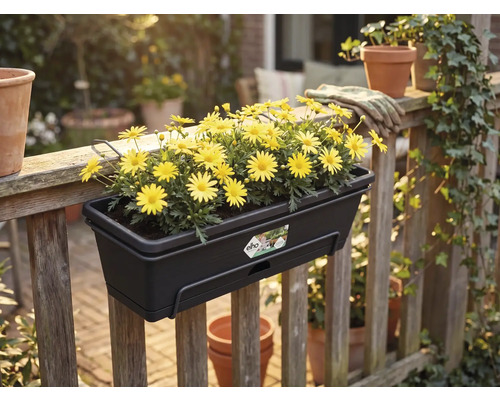 Dunkler Balkonkasten von Elho mit gelben Blumen an einem Holzgeländer im Garten. Elho Logo.