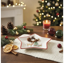 Sternförmiger Weihnachtsteller mit Gebäck auf festlich dekoriertem Tisch mit Tannenzweigen, Zapfen und beleuchtetem Weihnachtsbaum im Hintergrund.