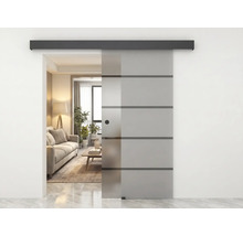 Schiebetür aus Glas mit Querstreifen und schwarzer Laufschiene in einem modern eingerichteten Wohnzimmer mit Couch und Pflanzen.