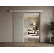 Moderne Glasschiebetür mit obenliegender Schiene und Griffmuschel in einem hellen, minimalistischen Wohnzimmer.