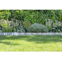 Rasenkante aus Metall trennt die Rasenfläche von einem Beet mit Stauden und Sträuchern vor einer Hecke.