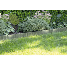 Wellenförmige Rasenkante aus Metall trennt eine Rasenfläche von einem Gartenbeet mit verschiedenen Pflanzen und Sträuchern.