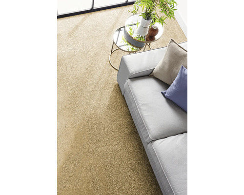 Moderner Wohnraum mit beigem Teppichboden, grauem Sofa mit Kissen und einem runden Beistelltisch mit Glasplatte und Zimmerpflanze.