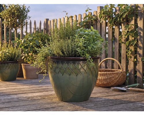 Kräuter wie Rosmarin und Basilikum in einem glasierten Keramiktopf mit Rautenmuster auf einer hellen Holzterrasse vor einem Lattenzaun.