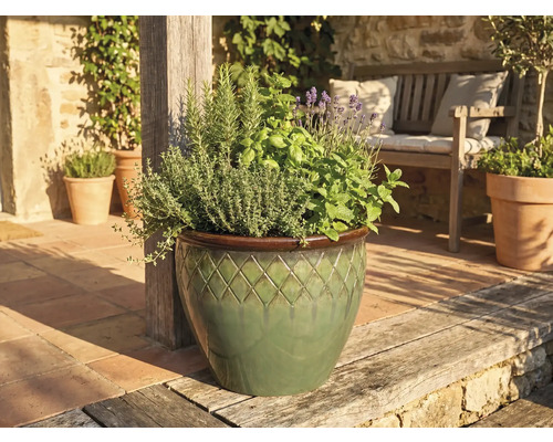 Keramiktopf mit Rautenmuster, bepflanzt mit Kräutern wie Lavendel und Rosmarin, auf einer hellen Terrasse neben einer Holzbank.