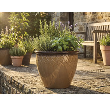 Glasierter Keramik-Pflanztopf mit Rautenmuster, bepflanzt mit Kräutern und Lavendel auf einer sonnigen Steinterrasse.