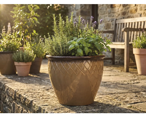 Glasierter Keramik-Pflanztopf mit Rautenmuster, bepflanzt mit Kräutern und Lavendel auf einer sonnigen Steinterrasse.