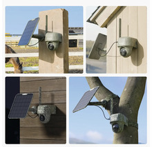 Reolink Überwachungskamera mit Solarpanel und Tarnmuster an einem Pfosten, einem Schuppen, einer Holzwand und einem Baum montiert.