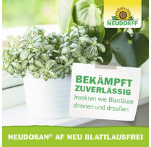 Neudosan AF Neu Blattlausfrei von Neudorff bekämpft zuverlässig Insekten wie Blattläuse an Pflanzen im Innen- und Außenbereich.