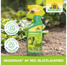 Neudorff Neudosan AF Neu Blattlausfrei Sprühflasche im hellen Garten, Siegel für ökologischen Landbau und Recyclingverpackung, Neudorff Logo.
