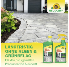 Sauber gereinigte Pflastersteine einer Einfahrt neben einem Blumenbeet und zwei Flaschen Neudorff Finalsan Wege- und FugenRein.