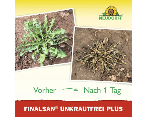 Neudorff Logo, Vorher-Nachher-Vergleich von Finalsan Unkrautfrei Plus an Unkraut nach einem Tag.