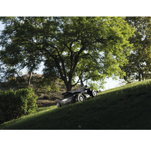 Ein Mähroboter mäht einen steilen Grashang unter einem großen Baum bei hellem Tageslicht.