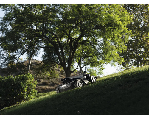 Ein Mähroboter mäht einen steilen Grashang unter einem großen Baum bei hellem Tageslicht.