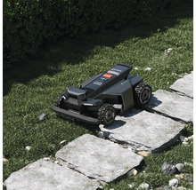 Segway Navimow Mähroboter überquert Gehwegplatten aus Stein in einer gepflegten Gartenanlage.