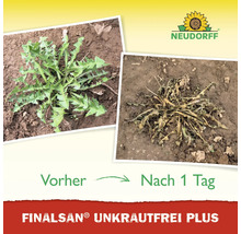 Neudorff Logo, Vorher-Nachher-Vergleich von Finalsan Unkrautfrei Plus an Unkraut nach einem Tag.