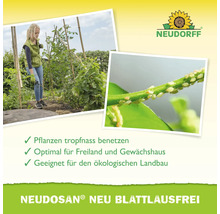 Anwendung von Neudorff Neudosan Neu Blattlausfrei im Garten und Nahaufnahme von Blattläusen an einem Pflanzenstiel.