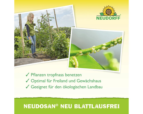Anwendung von Neudorff Neudosan Neu Blattlausfrei im Garten und Nahaufnahme von Blattläusen an einem Pflanzenstiel.