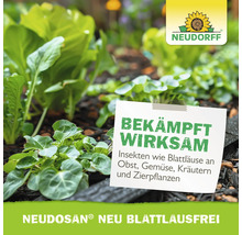 Jungpflanzen im Gartenbeet mit Neudorff Logo und Text zu Neudosan Neu Blattlausfrei zur Bekämpfung von Insekten wie Blattläusen.