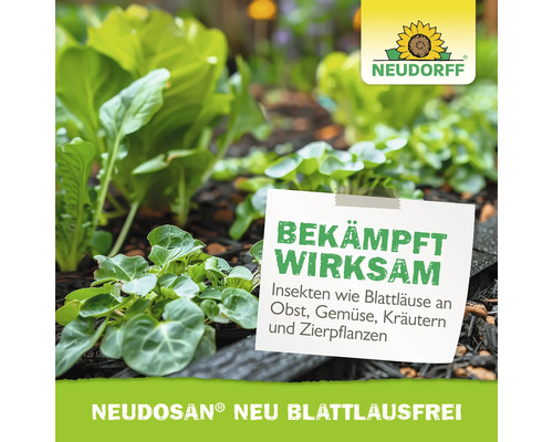 Jungpflanzen im Gartenbeet mit Neudorff Logo und Text zu Neudosan Neu Blattlausfrei zur Bekämpfung von Insekten wie Blattläusen.