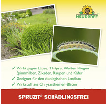Neudorff Spruzit Schädlingsfrei gegen Raupen und Insekten im Garten, geeignet für ökologischen Landbau, Wirkstoff aus Chrysanthemen-Blüten.