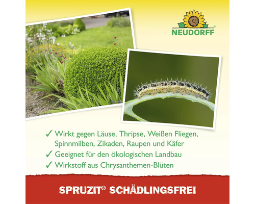 Neudorff Spruzit Schädlingsfrei gegen Raupen und Insekten im Garten, geeignet für ökologischen Landbau, Wirkstoff aus Chrysanthemen-Blüten.