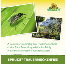 Infografik für Neudorff Spruzit Trauermückenfrei mit einer Nahaufnahme einer Trauermücke auf einem Blatt, einem Gewächshaus und dem Neudorff Logo.