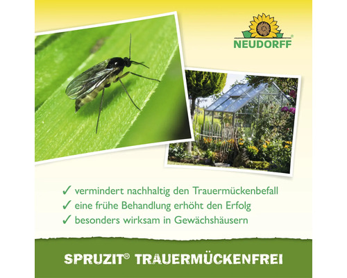 Infografik für Neudorff Spruzit Trauermückenfrei mit einer Nahaufnahme einer Trauermücke auf einem Blatt, einem Gewächshaus und dem Neudorff Logo.