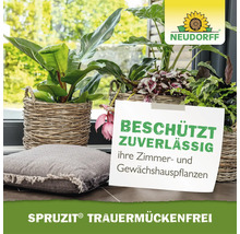 Zimmerpflanzen in Körben auf einer Fensterbank, Neudorff Logo und Hinweis auf Pflanzenschutz mit Spruzit Trauermückenfrei.