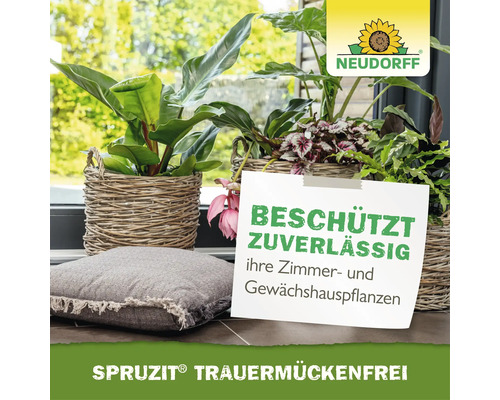 Zimmerpflanzen in Körben auf einer Fensterbank, Neudorff Logo und Hinweis auf Pflanzenschutz mit Spruzit Trauermückenfrei.