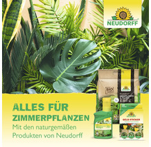 Neudorff Logo und Produkte für Zimmerpflanzen: Spezialerde, Flüssigdünger und Gelb-Sticker inmitten von grünen Zimmerpflanzen wie Monstera und Palmen.