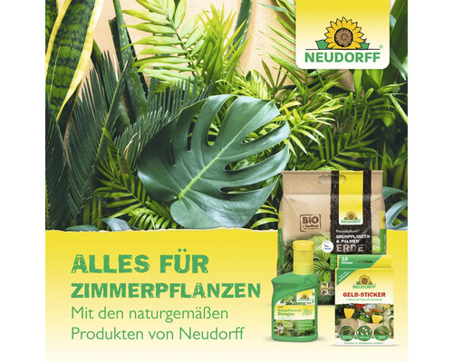 Neudorff Logo und Produkte für Zimmerpflanzen: Spezialerde, Flüssigdünger und Gelb-Sticker inmitten von grünen Zimmerpflanzen wie Monstera und Palmen.