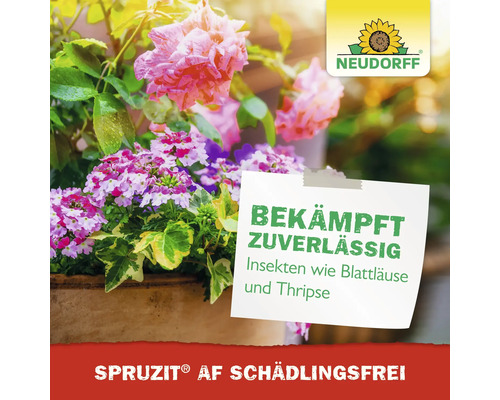 Neudorff Spruzit AF Schädlingsfrei bekämpft Insekten wie Blattläuse und Thripse an Rosen und Blumen in einem Terrakottatopf. Neudorff Logo.