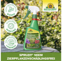 Neudorff Logo. Spruzit Neem Zierpflanzen Schädlingsfrei auf Holztisch in hellem Garten mit Symbolen für Bienenschutz und ökologischen Landbau.