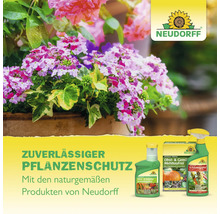 Verschiedene Neudorff Pflanzenschutzmittel für Obst und Gemüse vor einem Topf mit blühenden Blumen und Neudorff Logo.