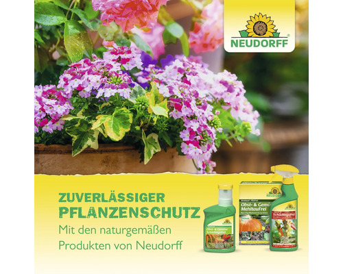 Verschiedene Neudorff Pflanzenschutzmittel für Obst und Gemüse vor einem Topf mit blühenden Blumen und Neudorff Logo.