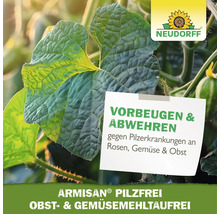 Neudorff Logo. Armisan Pilzfrei für Obst und Gemüse zur Vorbeugung gegen Pilzerkrankungen und Mehltau auf einem Blatt.