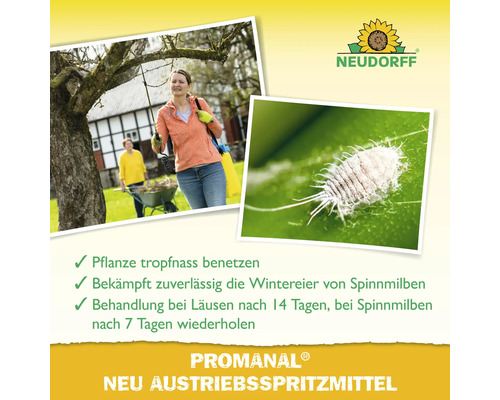 Neudorff Logo, Anwendung von Promanal Neu Austriebsspritzmittel an einem Baum und Nahaufnahme einer Wolllaus auf einem Blatt.