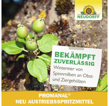 Neudorff Promanal Neu Austriebsspritzmittel zur Bekämpfung von Wintereiern von Spinnmilben an Obst und Ziergehölzen mit Neudorff Logo.