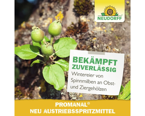 Neudorff Promanal Neu Austriebsspritzmittel zur Bekämpfung von Wintereiern von Spinnmilben an Obst und Ziergehölzen mit Neudorff Logo.