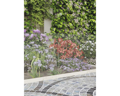 Gartenbeet mit einem feinmaschigen Drahtgitter aus Metall zum Schutz von Lilien und weiteren Pflanzen neben einem gepflasterten Weg.