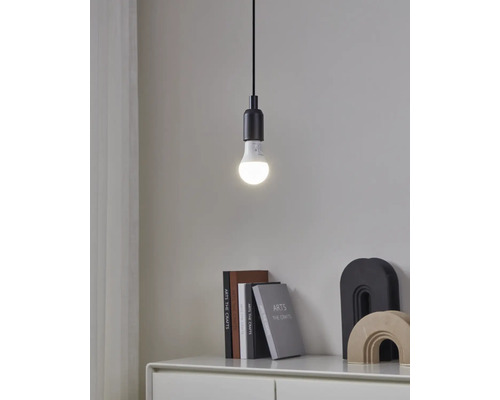 Leuchtendes LED-Leuchtmittel in einer schlichten schwarzen Pendelleuchte über einem weißen Sideboard mit Büchern und Deko in einem hellen Raum.
