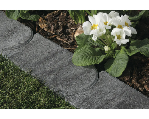Anthrazitfarbene Rasenkante aus Beton trennt eine Rasenfläche von einem Beet mit Rindenmulch und weißen Primeln.