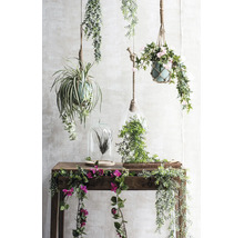 Dekorative künstliche Hängepflanzen, Terrarien und Blumenranken auf einem hölzernen Konsolentisch.