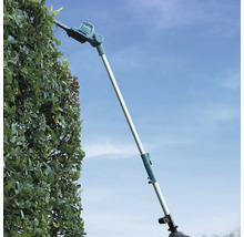 Makita Teleskop-Heckenschere beim Schneiden einer hohen Hecke im Außenbereich.
