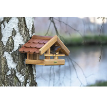 Holz-Vogelfutterhaus an einem Birkenstamm mit einem Rotkehlchen.