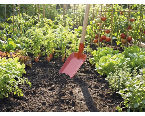 Rote Gartenschaufel mit Holzstiel steckt in dunkler Erde eines hellen Gemüsebeets mit Tomaten, Salat und Karotten.